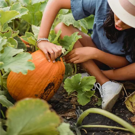 乡村民宿 El Lagar Del Abuelo En Arribes Del Duero, Badilla,